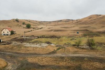 Teren de 540000 mp, în Măhăceni - 2