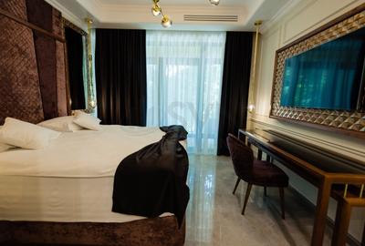 REV2005337 Investitie VILA l AFACERE LA CHEIE l - 6