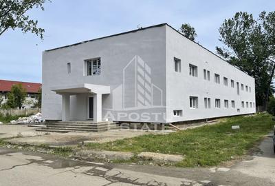 Spațiu comercial, de 920 mp, în Șagului - 3