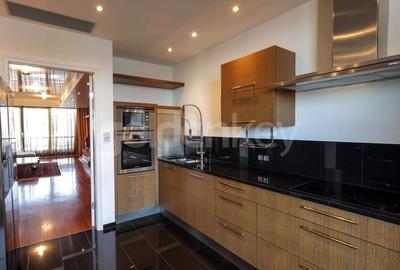 Apartament penthouse spectaculos cu 4 camere - 6