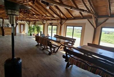 Spațiu comercial, de 20,000 mp, în Exterior Sud - 2