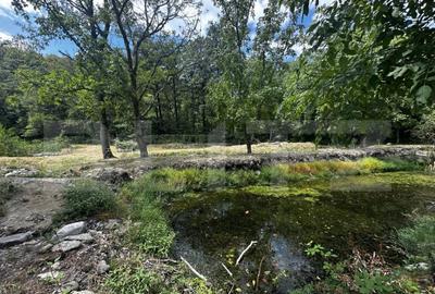 Teren, 12 000 mp, zona Crasna - 4