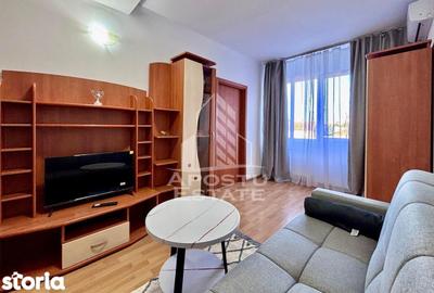 Apartament cu 2 camere în Șega - 10