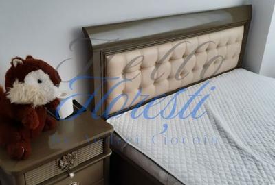 Apartament cu 2 camere decomandat în Dosu Bricii - 2