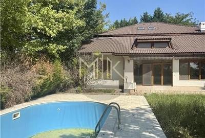 Vila Individuala Spectaculoasa cu Piscina, Erou Iancu Nicolae-Pipera - 3