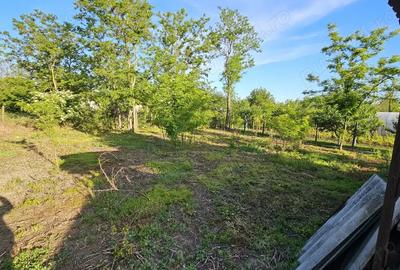 Casa de vanzare+Teren 1000mp Casa de vanzare+Teren 1000mp - 9