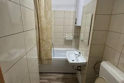 Lacul Tei, Parcul Circului, Lidl, Mega Image, semistr bl mixt renov 2024 - 5