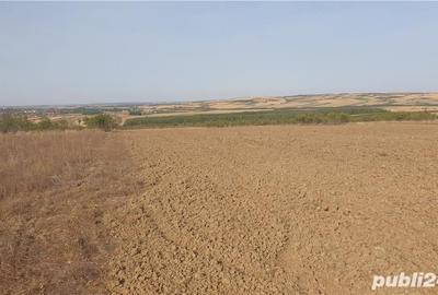 Teren de 10900 mp, în Oncea - 2