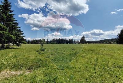 Teren 19,370mp Neagra Sarului / Strada ?estina - 10