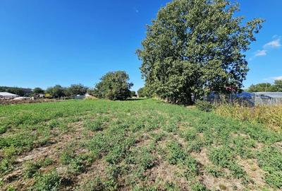 Teren intravilan 1.585 mp, cu utilități la hotar –Gherghița–Ungureni - 4