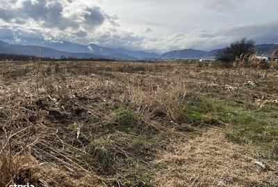 Teren de 7000 mp, în Central - 3