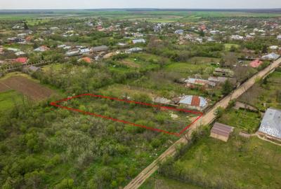 LETCA NOUA, TEREN CONSTRUCTII 1184 MP, FRONT 21 M ! - 17