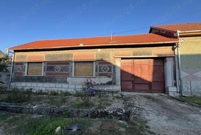 Casă cu 3 camere cu Teren 954 Mp în Mâtnicu Mare - 1
