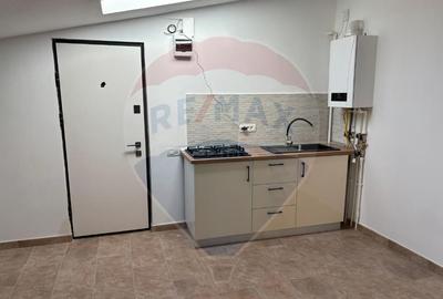 Apartament 2 camere cu terasa Gara de nord - 7