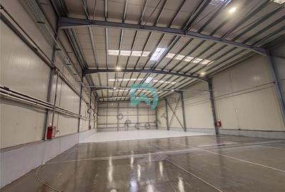 Hala industriala, 828 mp, Parc Industrial Prejmer. - 5