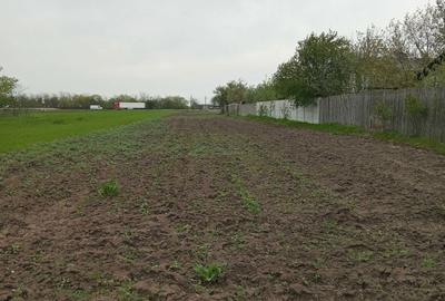 Spațiu comercial, în Frătești - 2