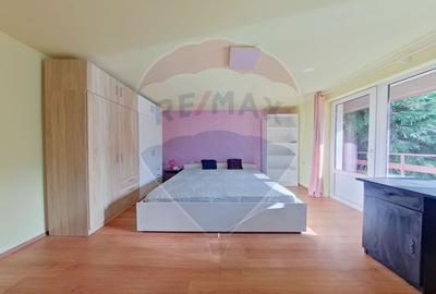 Casa individuala, 3 dormitoare, curte, langa UMF - 1