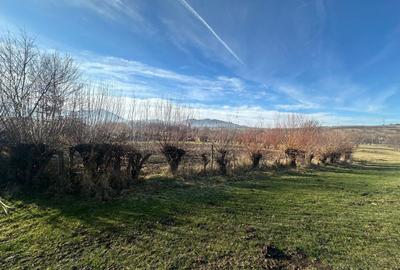 Teren Construcții intravilan de 1080 mp, în Rășinari - 3