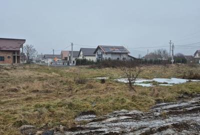 Teren de 6000 mp, în Seini - 2