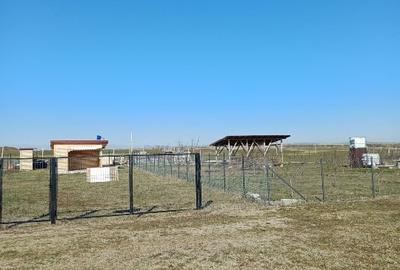 Teren agricol intravilan de 429 mp, în Partoș - 1