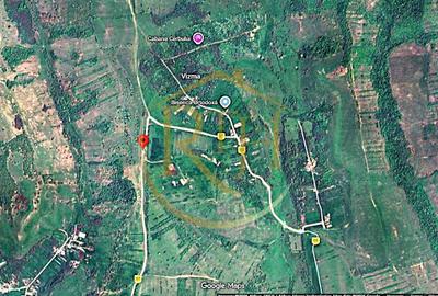 Teren agricol extravilan de 25000 mp, în Secaș - 10