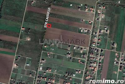 Teren de CASA de vanzare Mosnita Veche Bistra