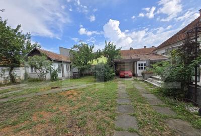 Casa individuala cu 4 camere de inchiriat, 581 mp de teren, - 19