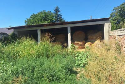 Spațiu comercial, în Beiu - 5