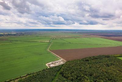 Teren arabil de 30 hectare in Constan?a - 4