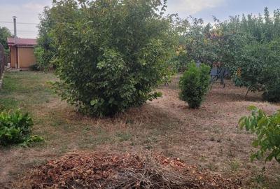 CASA SUPERBA 4 CAMERE ZONA VALU LUI TRAIAN 933MP - 33