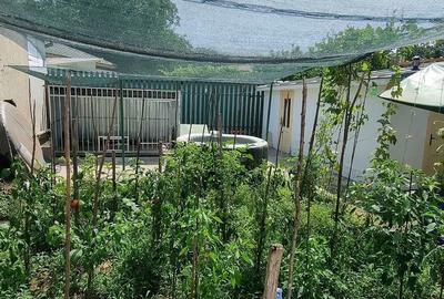 Casă cu 4 camere cu Teren 210 Mp în Ultracentral - 8