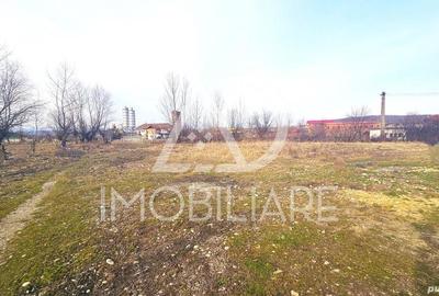 Teren de 12000 mp, în Rovinari - 2