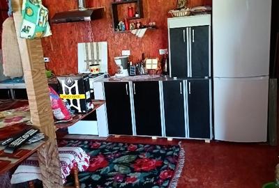 Teren Construcții intravilan de 1200 mp, în Alunișu (Băiculești) - 15