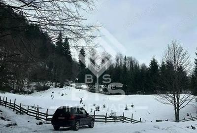 Teren de 6000 mp, în Sud - 2