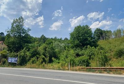 Resita, Terenuri Intravilane 2000 Mp., 28 Euro/Mp., Calea Ca - 12