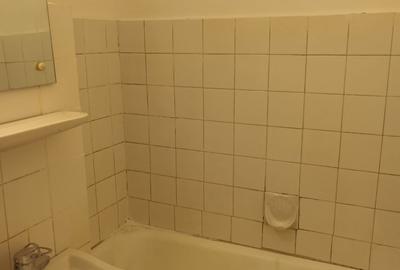 Garsonieră decomandată în Palazu Mare - 7