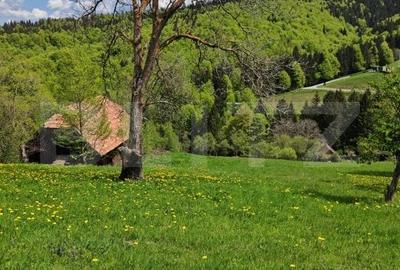 Teren intravilan 3400 mp, in Balaban - Simon, Bran - Brasov - 5