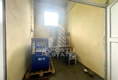 Spatii productie si depozitare, zona Sebis - Prunisor-Carand - 29