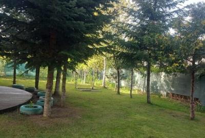 Casă cu 7 camere cu Canalizare în Snagov - 10