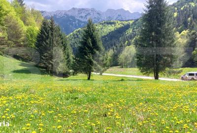 Spațiu comercial, în Central - 11