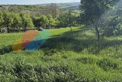 Teren 825 mp in Cojocna, perfect pentru locuinta sau investitie turistica - 1