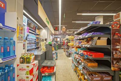 Spațiu comercial, de 248 mp, în Scriitorilor - 7