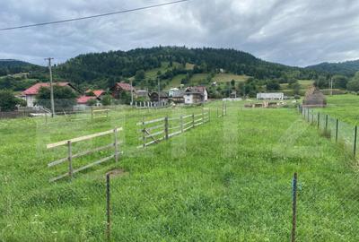 Teren intravilan de vanzare Vama, jud. SV 1500 mp - 2