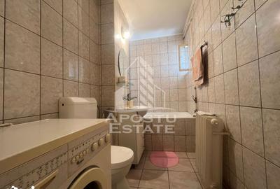 Apartament cu 2 camere în Șega - 2
