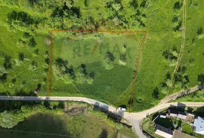 EXCLUSIVITATE! Teren 2339 mp in Barsana - Comision 0%! - 2