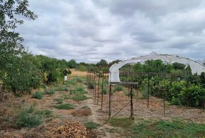 Casă cu 4 camere în Osica de Sus - 1