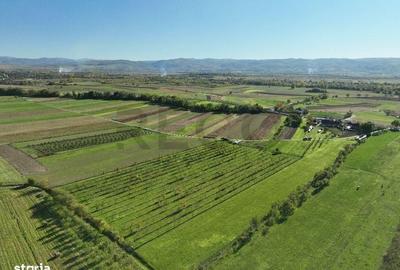 Spațiu comercial, în Aușeu - 11