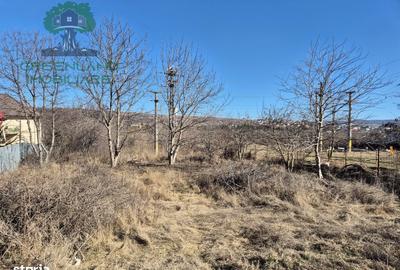 Teren de 1650 mp, în Ciurea - 2