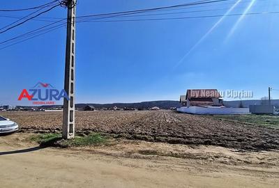 AZURA IMobiliare - Teren Bascov 2km de Giratoriu - 4