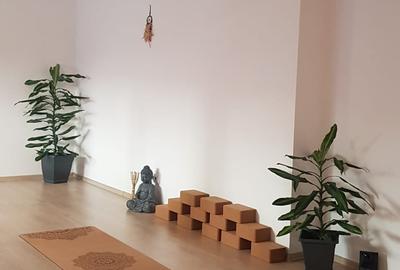 Birou, de 170 mp, în Universitate - 14